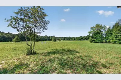 299 Poinsettia Road Lot A, Wagener, SC 29164 - Photo 29