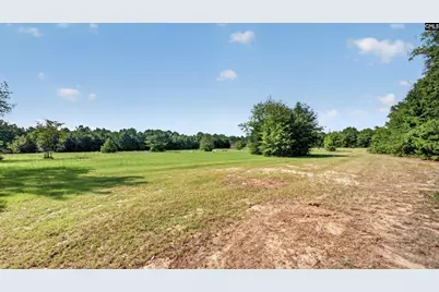 299 Poinsettia Road Lot A, Wagener, SC 29164 - Photo 3