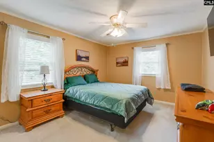 445 Lakemont Dr, Chapin, SC 29036 - Photo 29