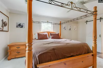 445 Lakemont Drive, Chapin, SC 29036 - Photo 25