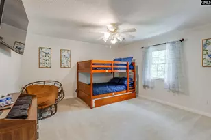 445 Lakemont Dr, Chapin, SC 29036 - Photo 31