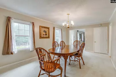 445 Lakemont Drive, Chapin, SC 29036 - Photo 21