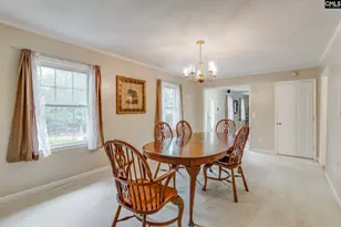 445 Lakemont Dr, Chapin, SC 29036 - Photo 19