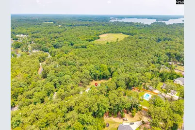445 Lakemont Drive, Chapin, SC 29036 - Photo 51