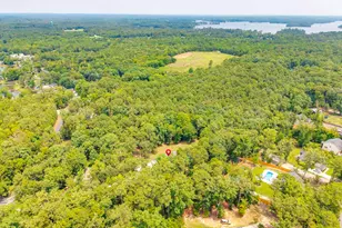 445 Lakemont Dr, Chapin, SC 29036 - Photo 51