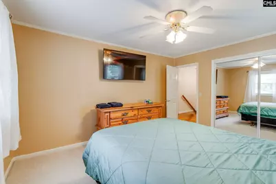 445 Lakemont Drive, Chapin, SC 29036 - Photo 31
