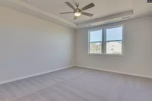 705 Feldpsar Ct, Chapin, SC 29036 - Photo 13