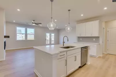 705 Feldpsar Court, Chapin, SC 29036 - Photo 3