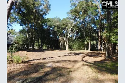 8139 Murphy Creek Court, Edisto Island, SC 29438 - Photo 5