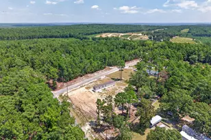 96 Toms Creek Ct, Hopkins, SC 29061 - Photo 33