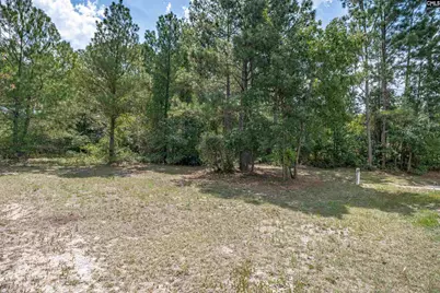 205 Drayden Court, Lexington, SC 29073 - Photo 37