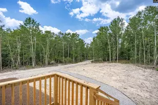 151 Noah Lucas Rd, Lexington, SC 29073 - Photo 43