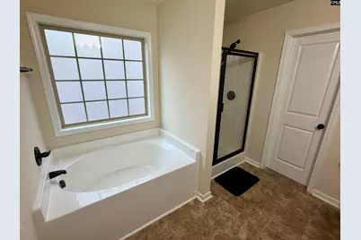 263 Chesterbrook Lane, Lexington, SC 29072 - Photo 19