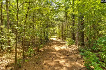1242 Old Douglas Road, Winnsboro, SC 29180 - Photo 25
