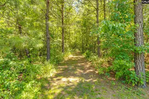 1242 Old Douglas Rd, Winnsboro, SC 29180 - Photo 23