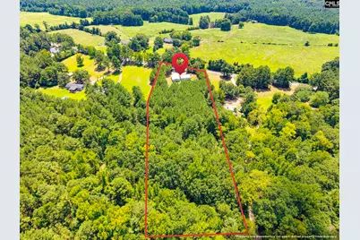 1242 Old Douglas Road, Winnsboro, SC 29180 - Photo 29