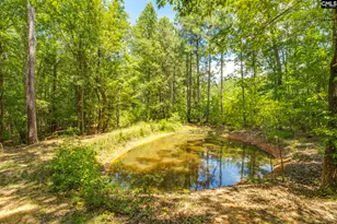 1242 Old Douglas Rd, Winnsboro, SC 29180 - Photo 25