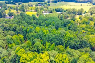 1242 Old Douglas Rd, Winnsboro, SC 29180 - Photo 33