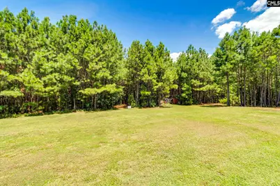 1242 Old Douglas Road, Winnsboro, SC 29180 - Photo 19
