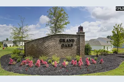 349 Sandy Run Drive, Columbia, SC 29203 - Photo 37