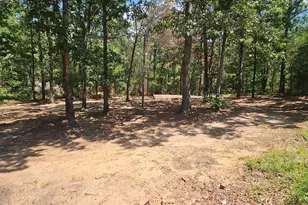 224 Sam Austin Rd, North, SC 29112 - Photo 9