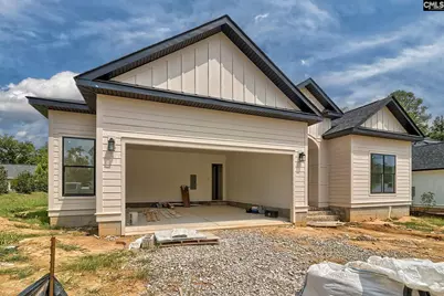 858 Elms Spinney Lane, Chapin, SC 29036 - Photo 3