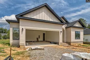 858 Elms Spinney Ln, Chapin, SC 29036 - Photo 3