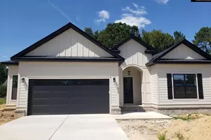 858 Elms Spinney Ln, Chapin, SC 29036 - Photo 1