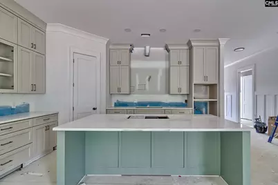 858 Elms Spinney Lane, Chapin, SC 29036 - Photo 11