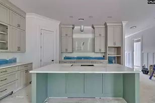 858 Elms Spinney Ln, Chapin, SC 29036 - Photo 11