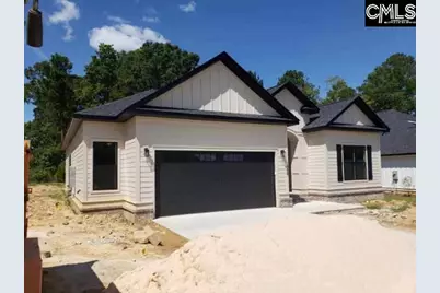 858 Elms Spinney Lane, Chapin, SC 29036 - Photo 3