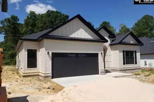 858 Elms Spinney Ln, Chapin, SC 29036 - Photo 3