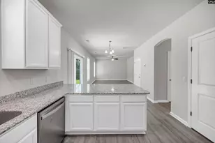 1171 Grey Pine Dr, Blythewood, SC 29016 - Photo 11