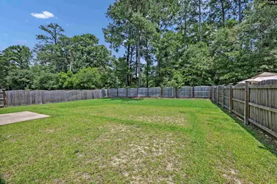 1171 Grey Pine Drive, Blythewood, SC 29016 - Photo 39