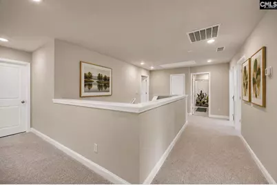 149 Monroe Preserve Drive, Chapin, SC 29036 - Photo 21