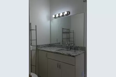 255 Mason Drive, Orangeburg, SC 29118 - Photo 49