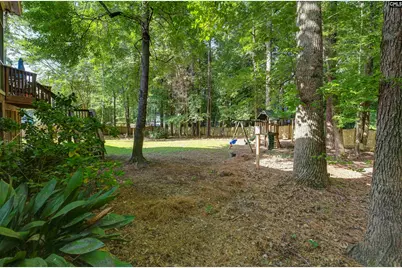 207 Williamstown Way, Columbia, SC 29212 - Photo 43