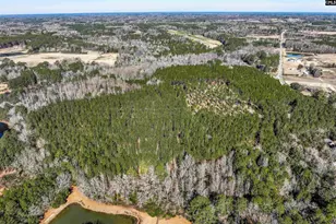 Lot 2 Fairview Road 008200-07-010, Batesburg, SC 29006 - Photo 21