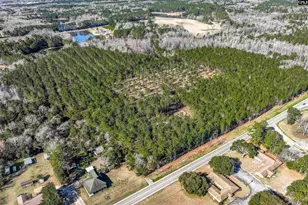 Lot 2 Fairview Road 008200-07-010, Batesburg, SC 29006 - Photo 31
