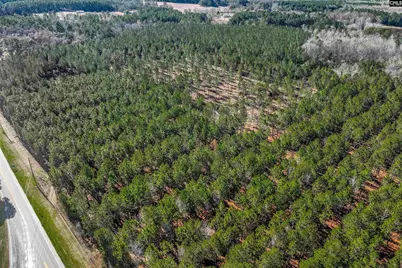 Lot 3 Fairview Road 008200-07-010 LOT #3, Batesburg, SC 29006 - Photo 25