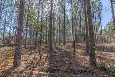 Lot 3 Fairview Road 008200-07-010 LOT #3, Batesburg, SC 29006 - Photo 3