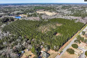 Lot 3 Fairview Road 008200-07-010, Batesburg, SC 29006 - Photo 17