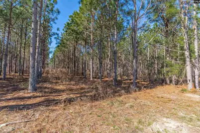 Lot 3 Fairview Road 008200-07-010 LOT #3, Batesburg, SC 29006 - Photo 5
