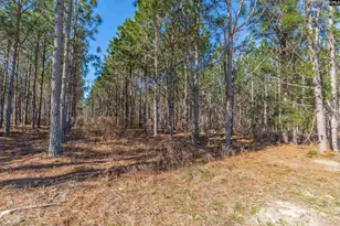 Lot 3 Fairview Road 008200-07-010, Batesburg, SC 29006 - Photo 5