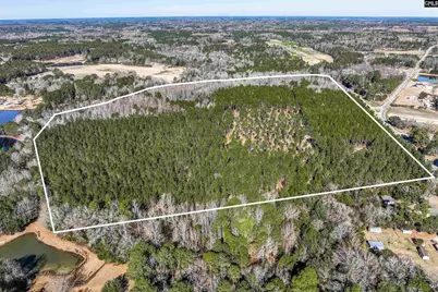 Lot 3 Fairview Road 008200-07-010 LOT #3, Batesburg, SC 29006 - Photo 21