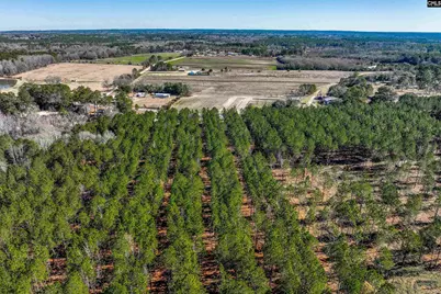 Lot 3 Fairview Road 008200-07-010 LOT #3, Batesburg, SC 29006 - Photo 33