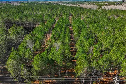 Lot #4 Fairview Road 008200-07-010, Batesburg, SC 29006 - Photo 31