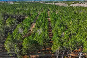 Lot #4 Fairview Road 008200-07-010, Batesburg, SC 29006 - Photo 31
