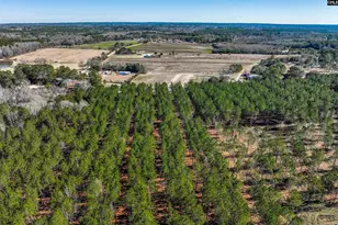 Lot #4 Fairview Road 008200-07-010, Batesburg, SC 29006 - Photo 33