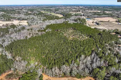 Lot #4 Fairview Road 008200-07-010, Batesburg, SC 29006 - Photo 27